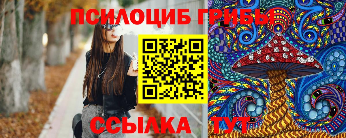 Псилоцибиновые грибы мицелий Красноярск