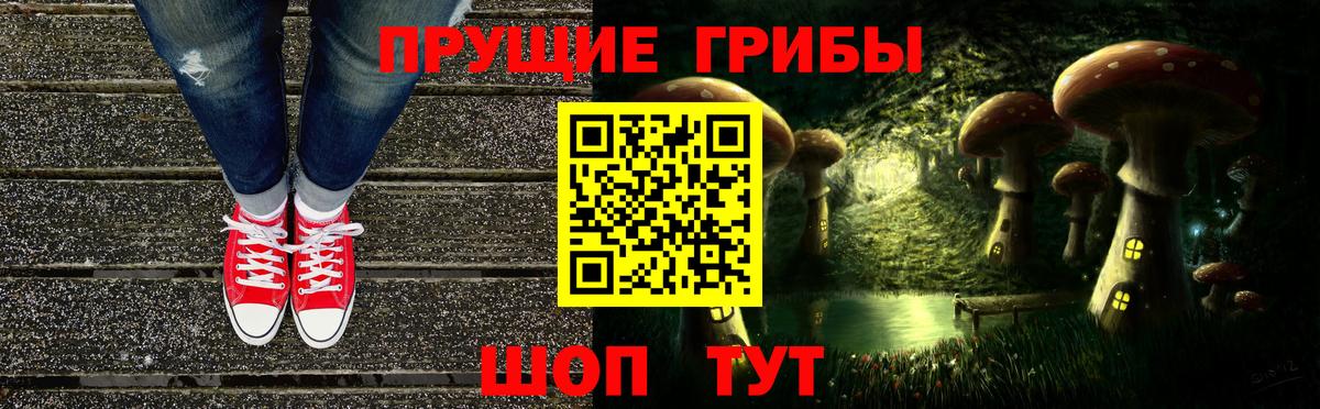 Красноярск  Галлюциногенные грибы GOLDEN TEACHER  закладки  Вход с VPN 